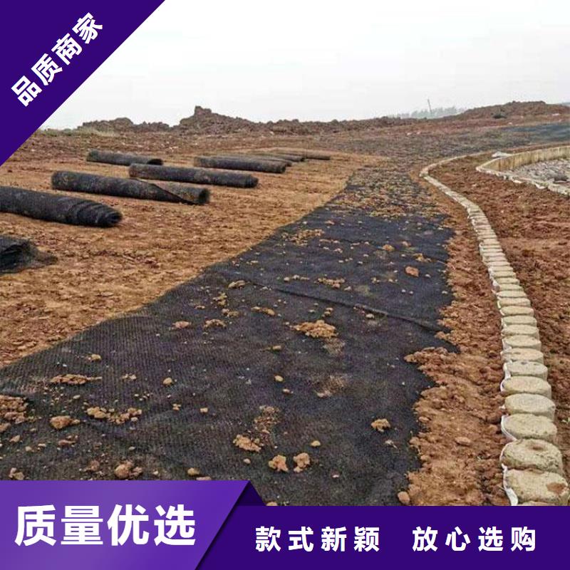 水土保护毯防渗膜质检严格