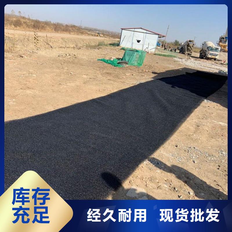 【水土保护毯】_土工膜欢迎来电询价