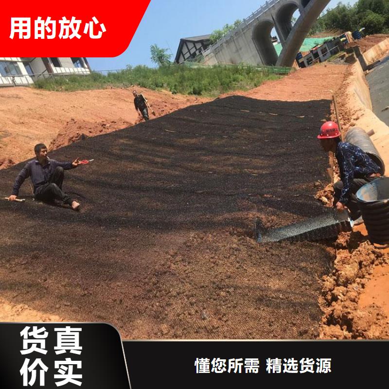 水土保护毯硬式透水管货源直供