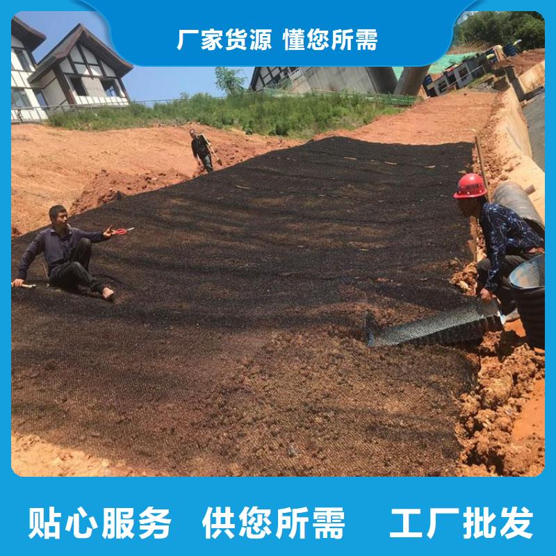 水土保护毯塑料排水板好产品好服务