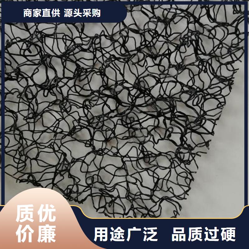 水土保护毯HDPE土工膜极速发货
