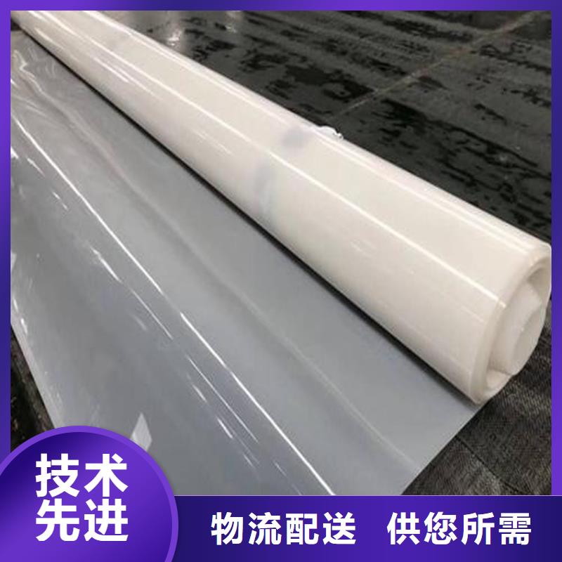防水板_防渗土工膜现货直供