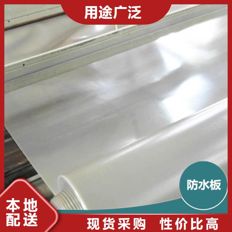 防水板_【土工膜】厂家精选