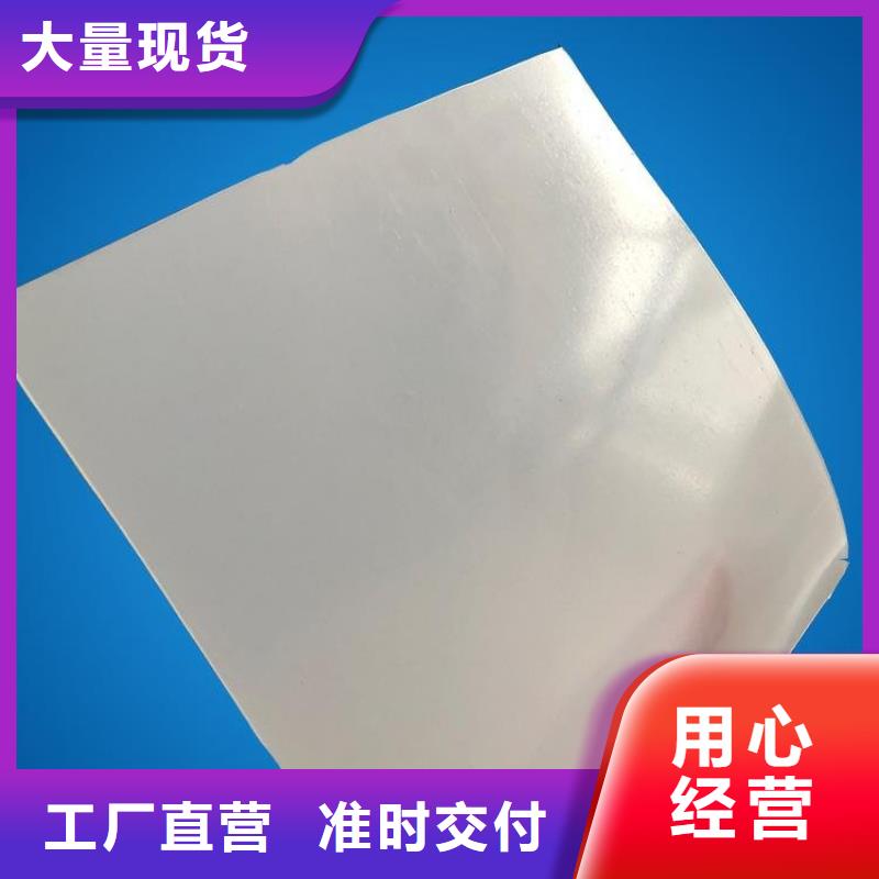 防水板_土工膜发货迅速