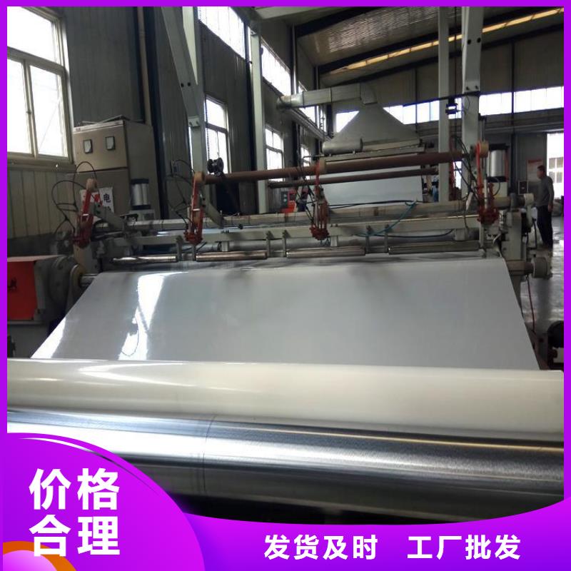 防水板土工膜多年实力厂家