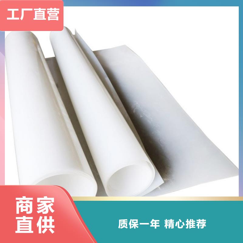 防水板_土工膜发货迅速