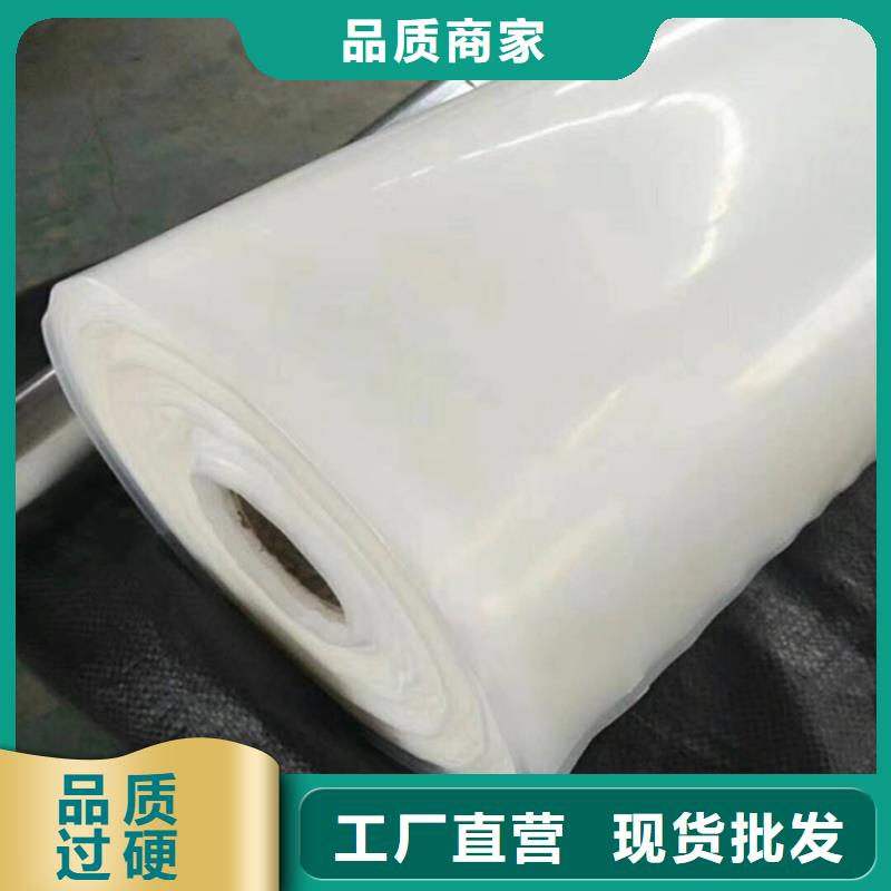 防水板土工膜多年实力厂家