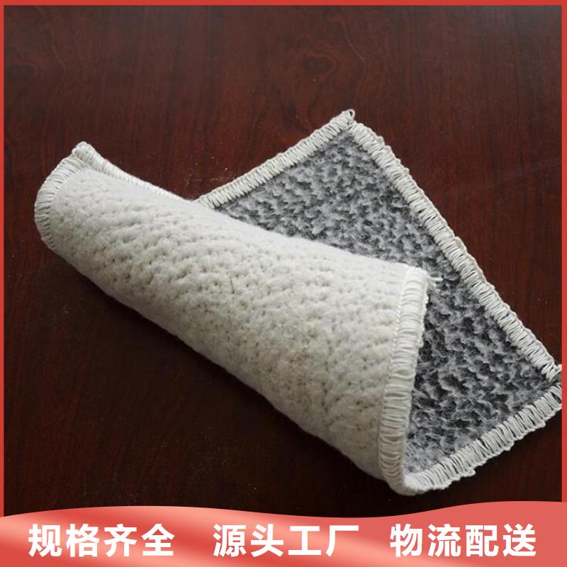膨润土防水毯,防水板货源直供