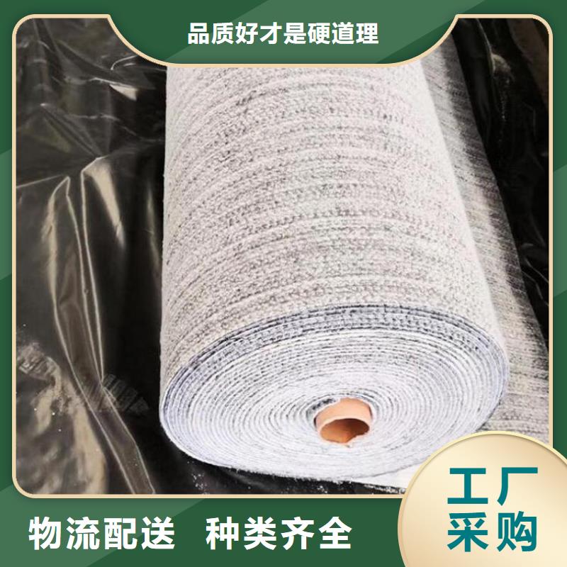 膨润土防水毯_土工膜多种工艺