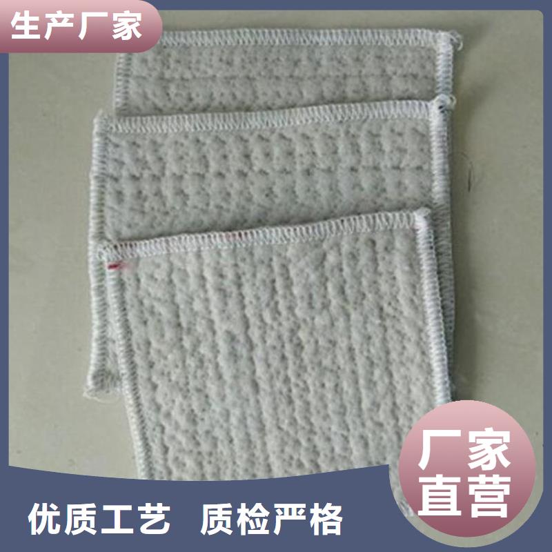 膨润土防水毯,防水板货源直供