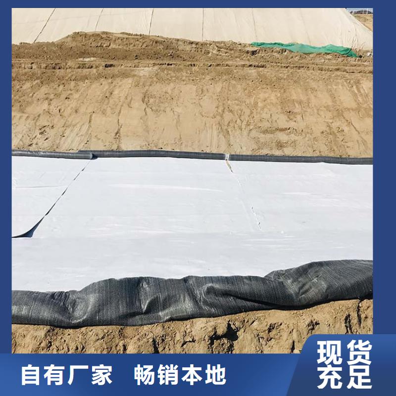 膨润土防水毯,防水板货源直供
