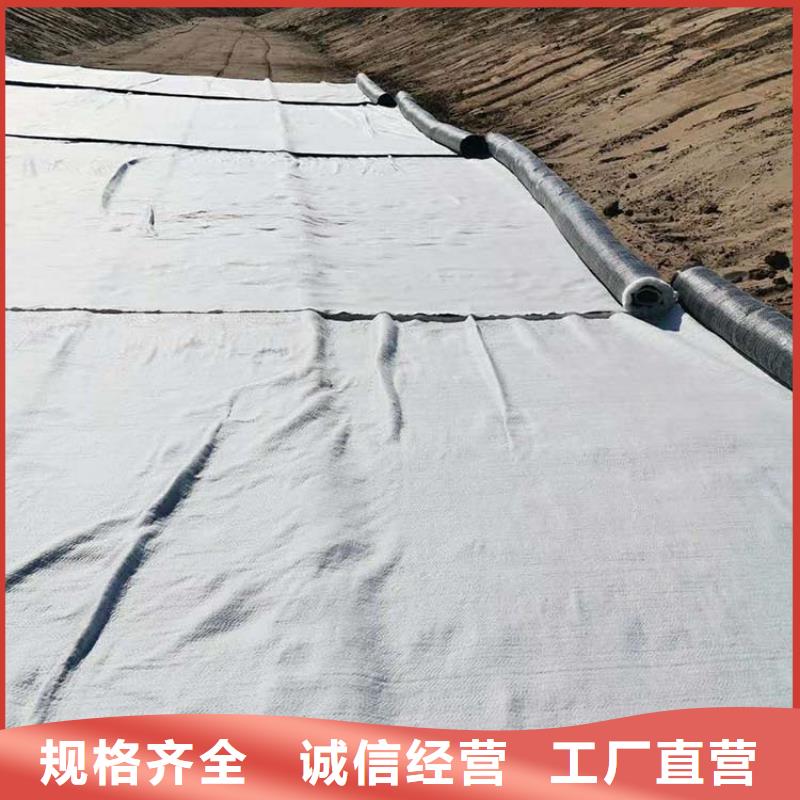 膨润土防水毯,通风降噪丝网厂家采购