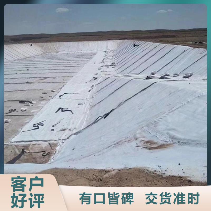 膨润土防水毯-土工格栅全新升级品质保障