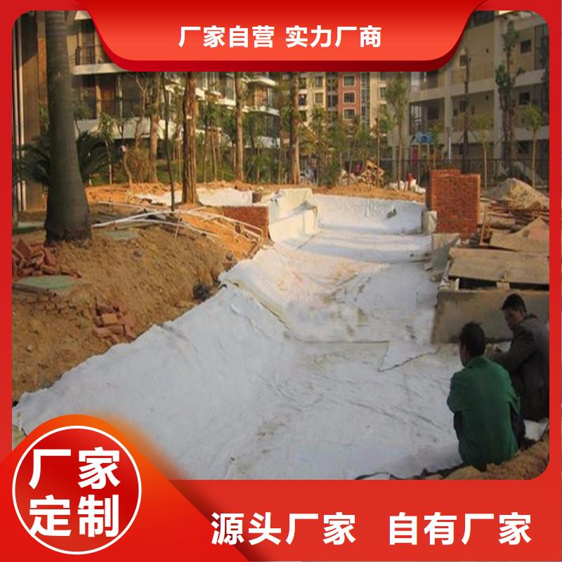 膨润土防水毯,HDPE土工膜真材实料