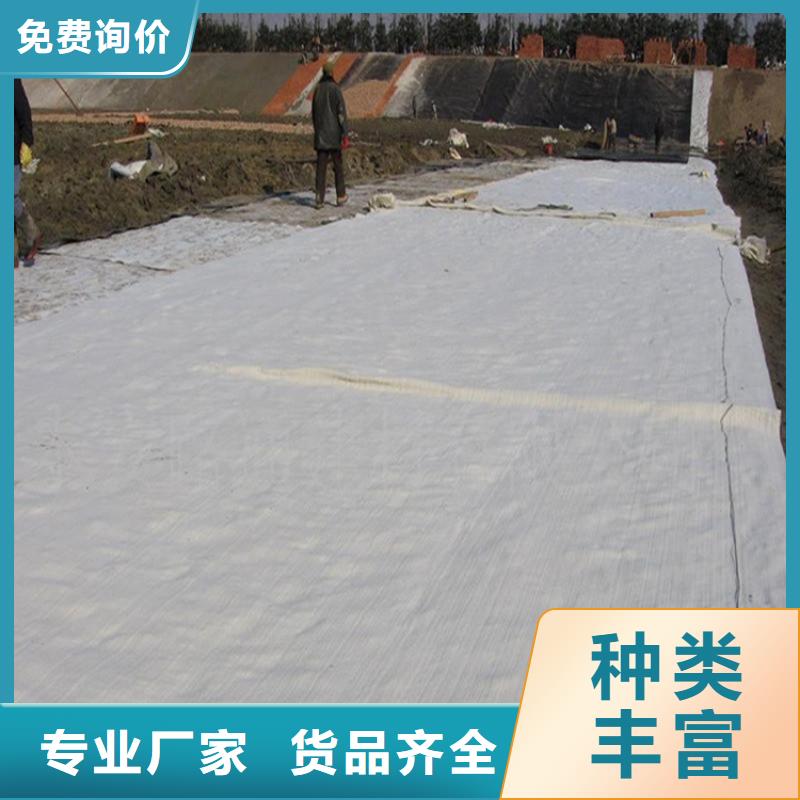 膨润土防水毯,HDPE土工膜真材实料
