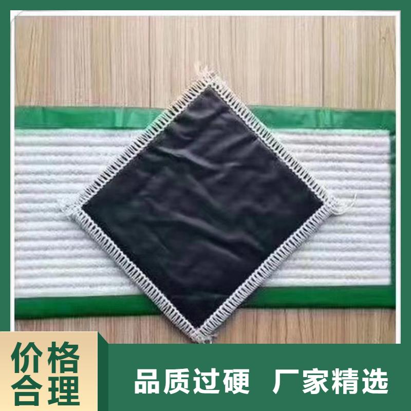 膨润土防水毯防水排水板现货销售