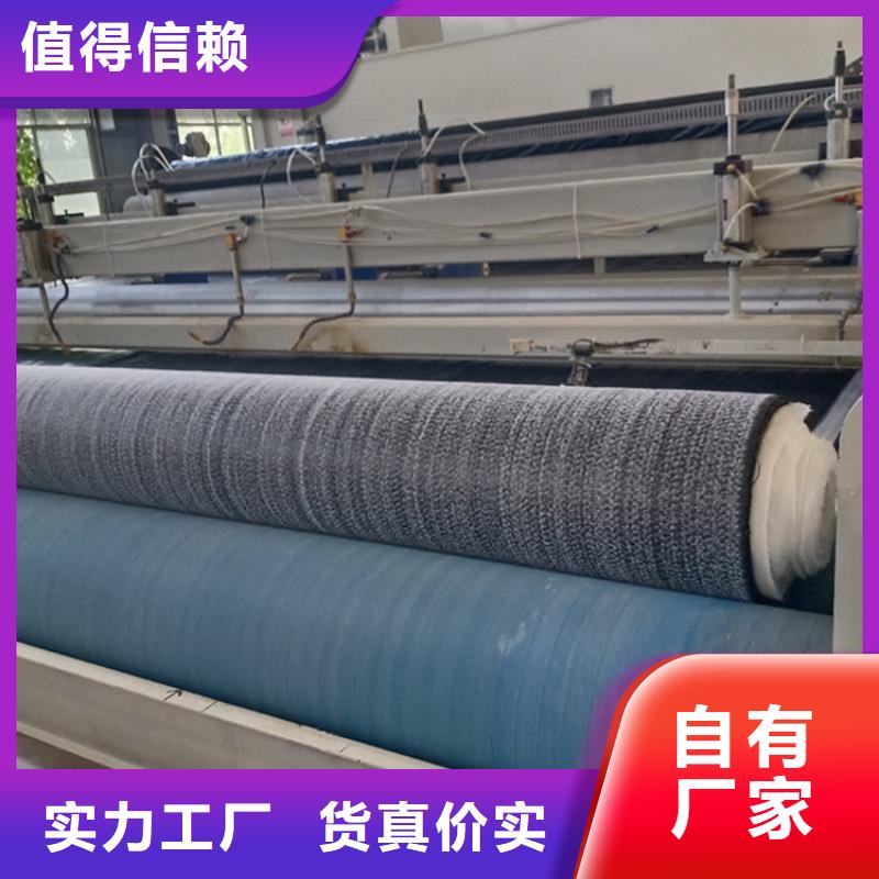膨润土防水毯防水排水板现货销售