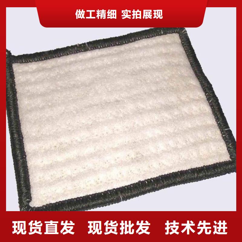 膨润土防水毯【HDPE土工膜】技术先进