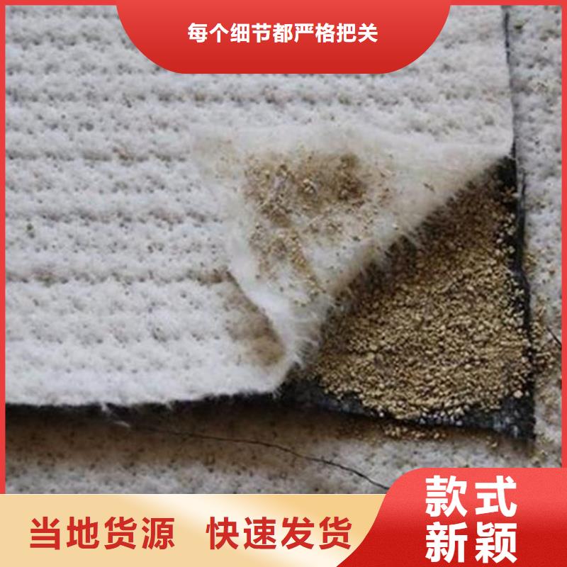 膨润土防水毯【HDPE土工膜】技术先进