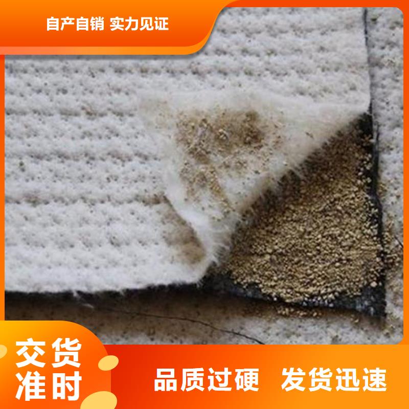 膨润土防水毯防水排水板现货销售