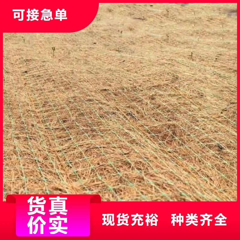 【椰丝毯塑料盲沟采购】
