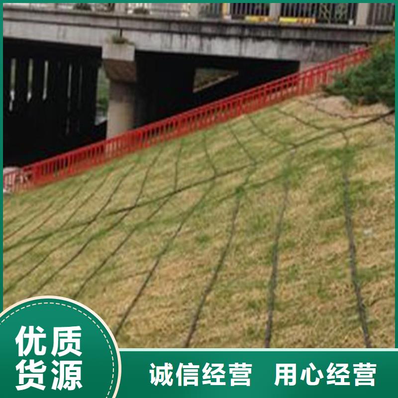 椰丝毯土工布工期短发货快