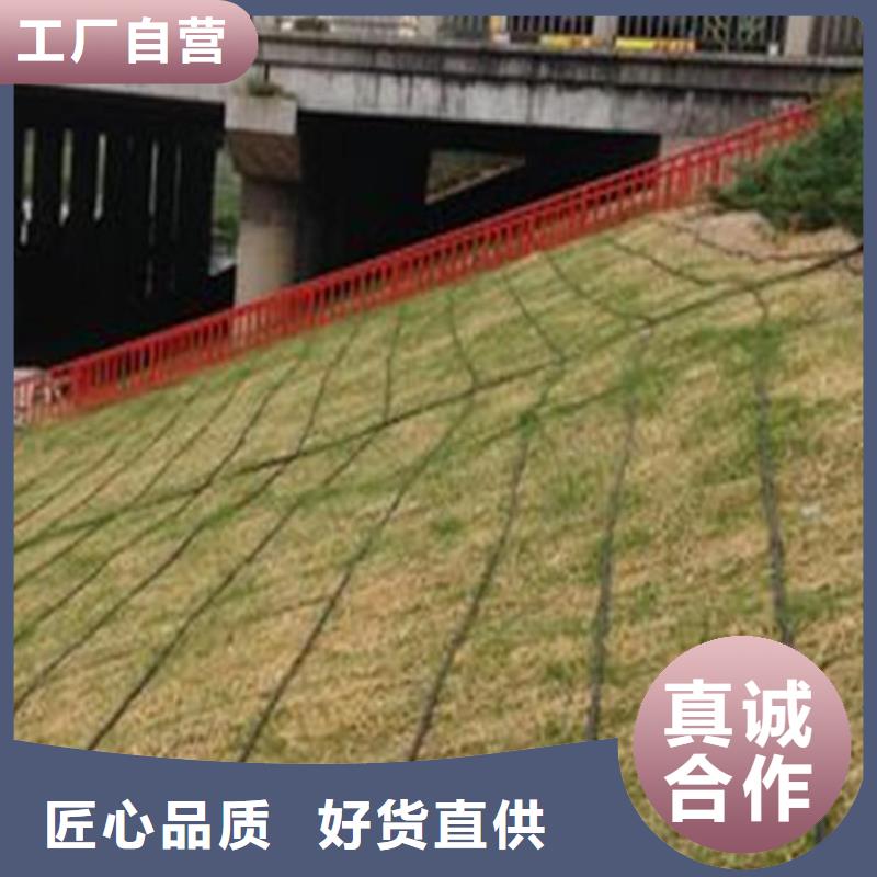 椰丝毯【软式透水管】厂家经验丰富