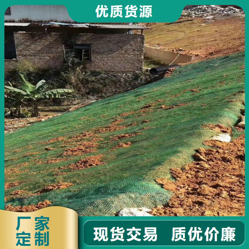 椰丝毯-生态袋精心
