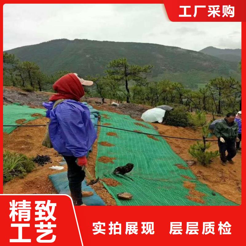 【椰丝毯土工布质检合格发货】