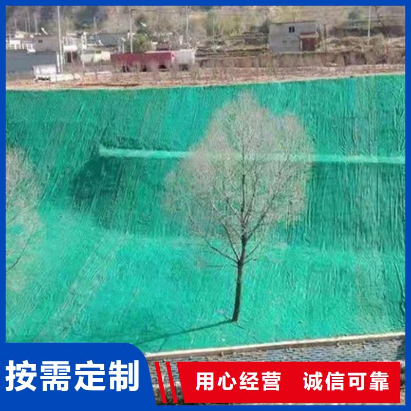 【椰丝毯土工布品质优选】