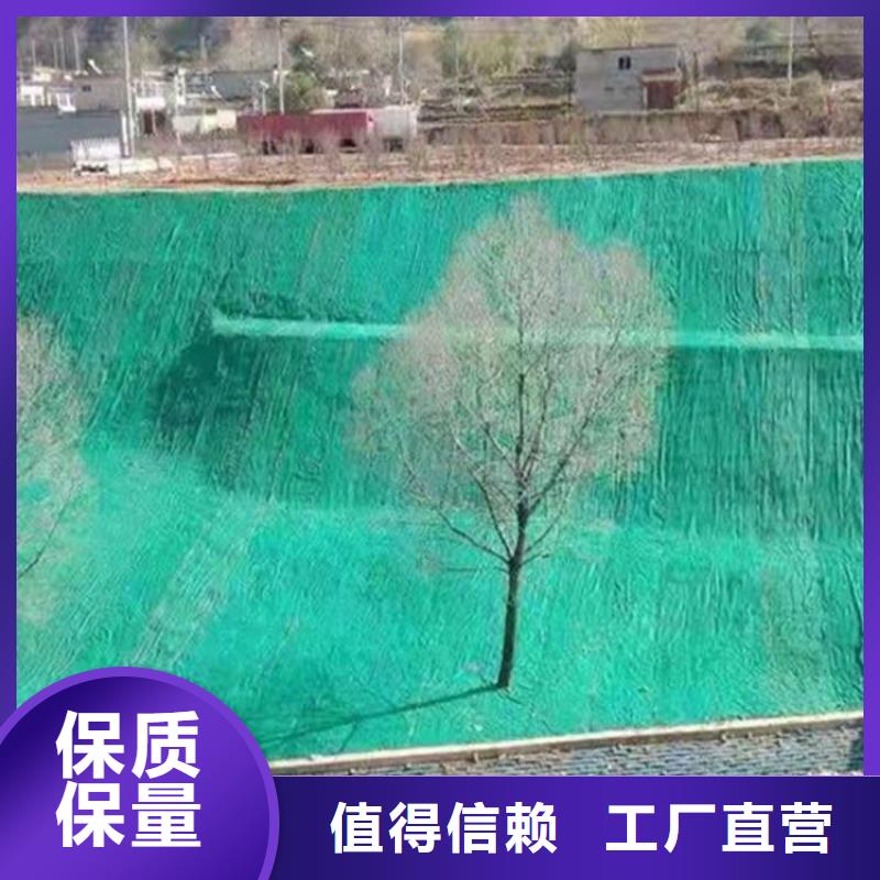 椰丝毯土工席工厂直营