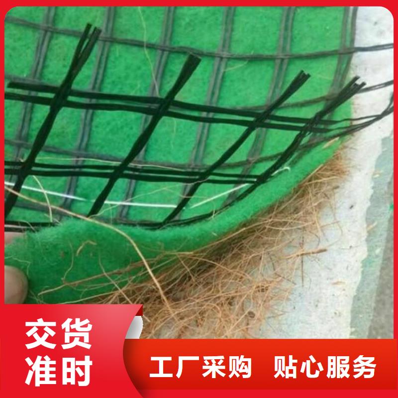 【椰丝毯土工布品质优选】