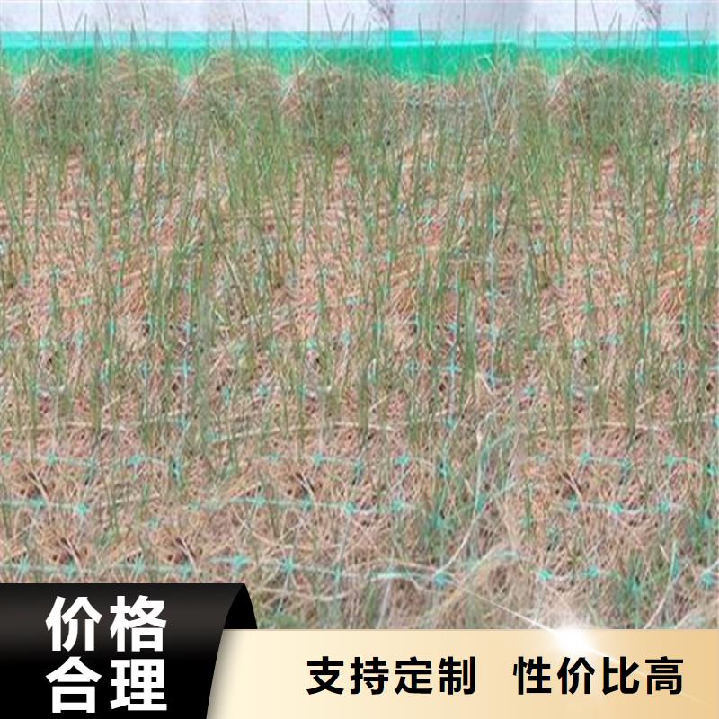 椰丝毯-HDPE土工膜经久耐用