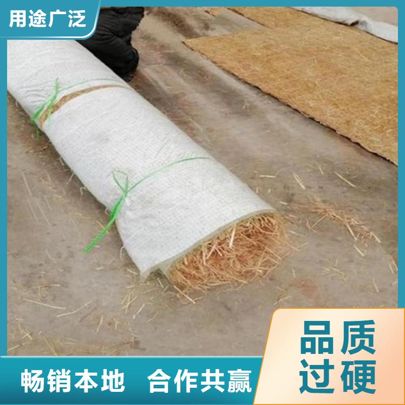 椰丝毯-生态袋精心