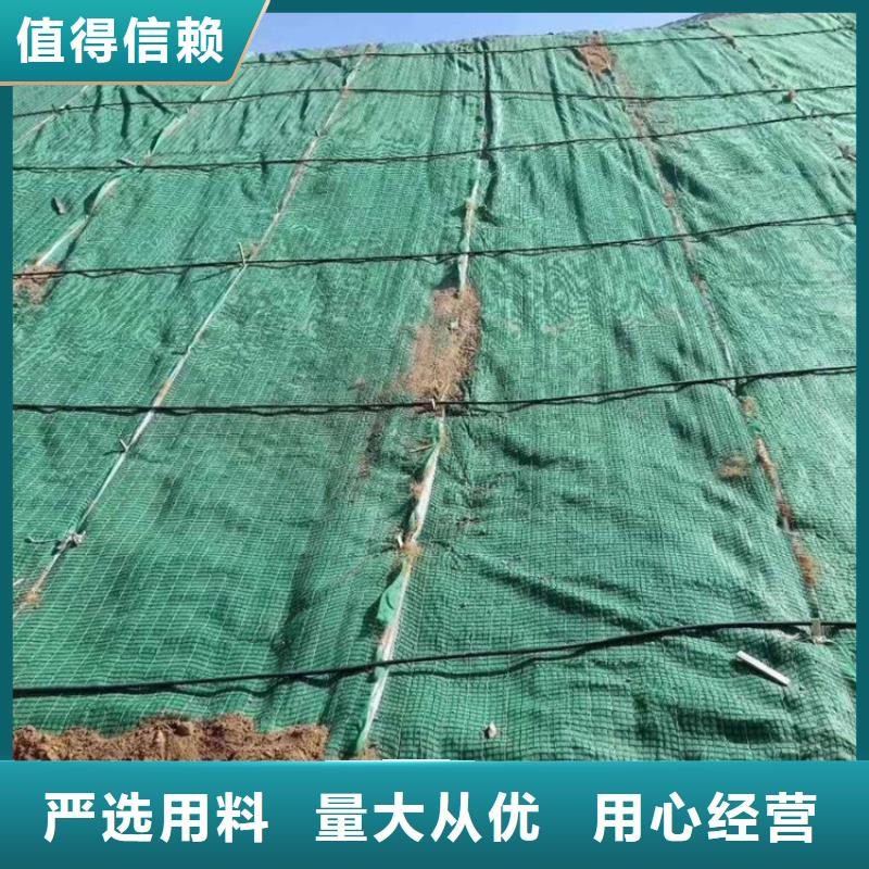 椰丝毯HDPE土工膜专业设计