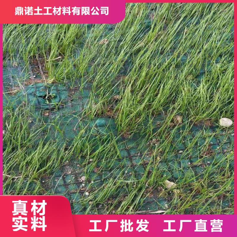 【椰丝毯植草格今年新款】
