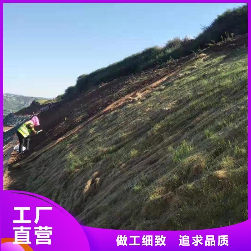椰丝毯【【防水膜】】供应采购