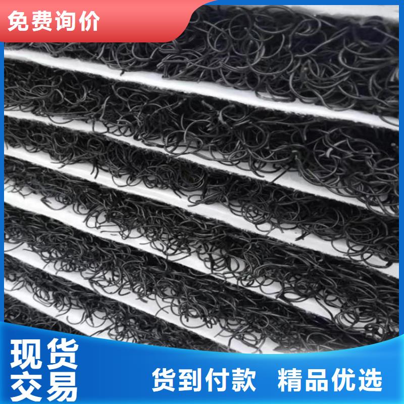 土工席垫HDPE土工膜专心专注专业