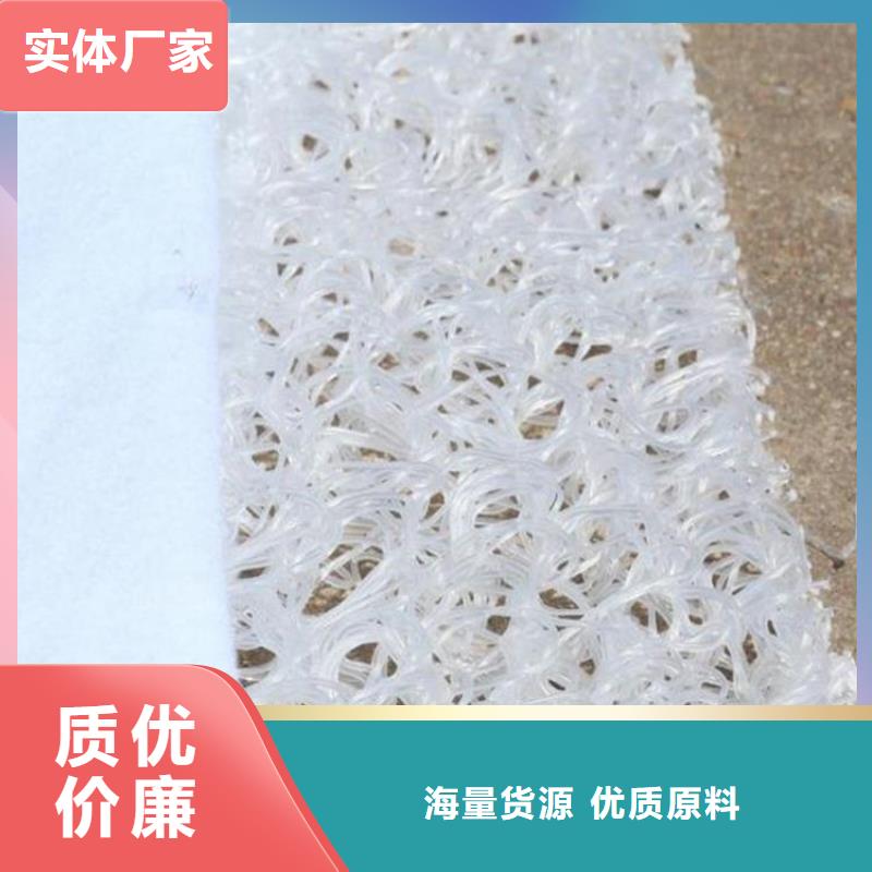 土工席垫-【土工格栅】厂家直销规格多样