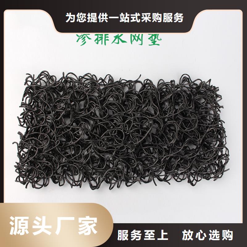 土工席垫【植草格】工厂价格