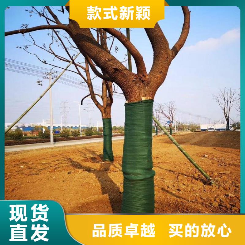 【裹树布土工布严选用料】