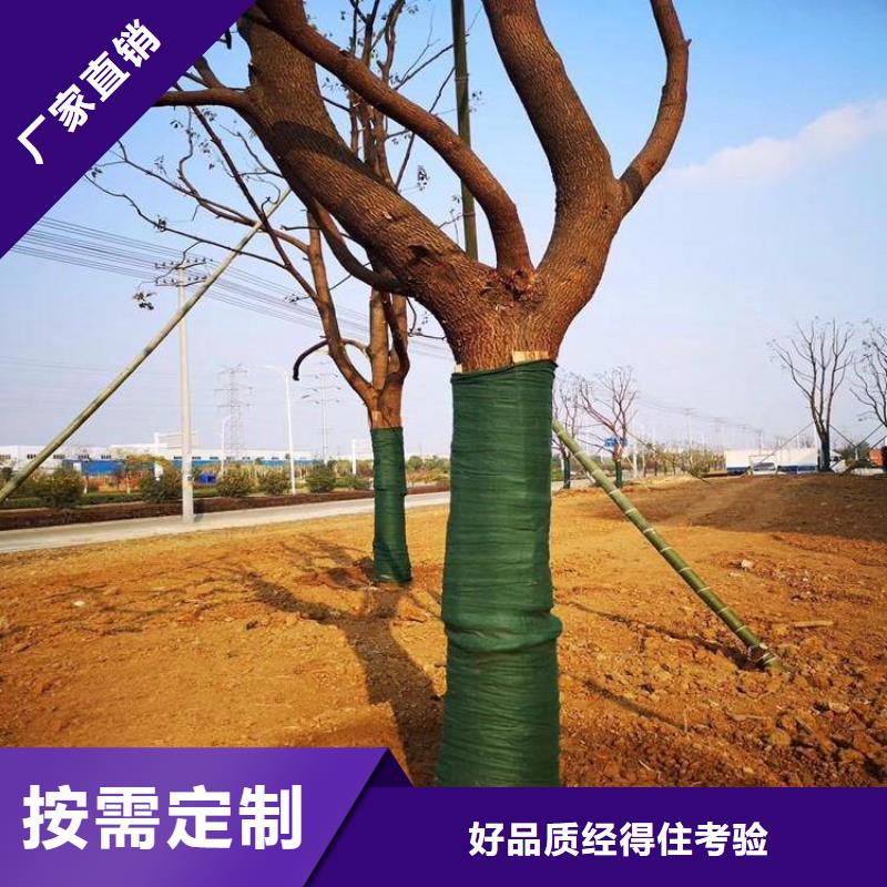 【裹树布】-复合土工膜核心技术