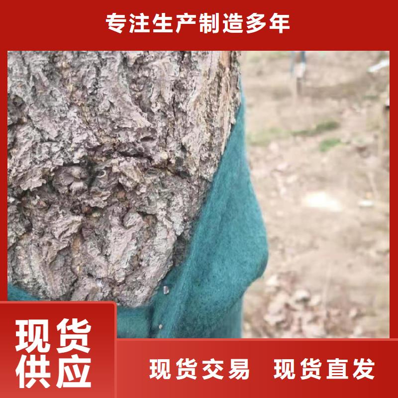 裹树布防渗膜用心做好每一件产品