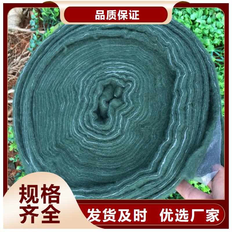 【裹树布生态袋厂家定制】