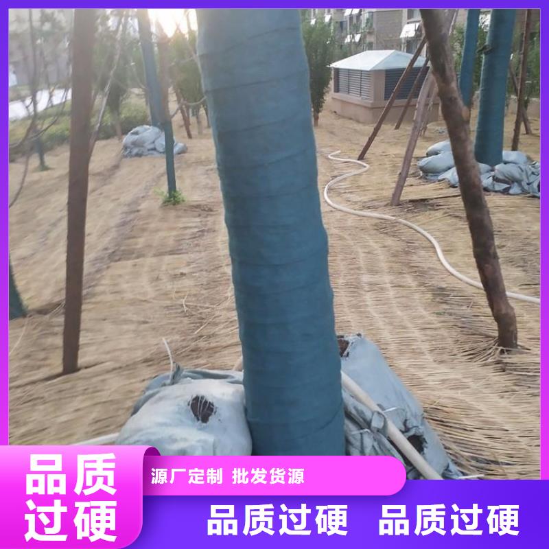 裹树布,防水板多种规格供您选择