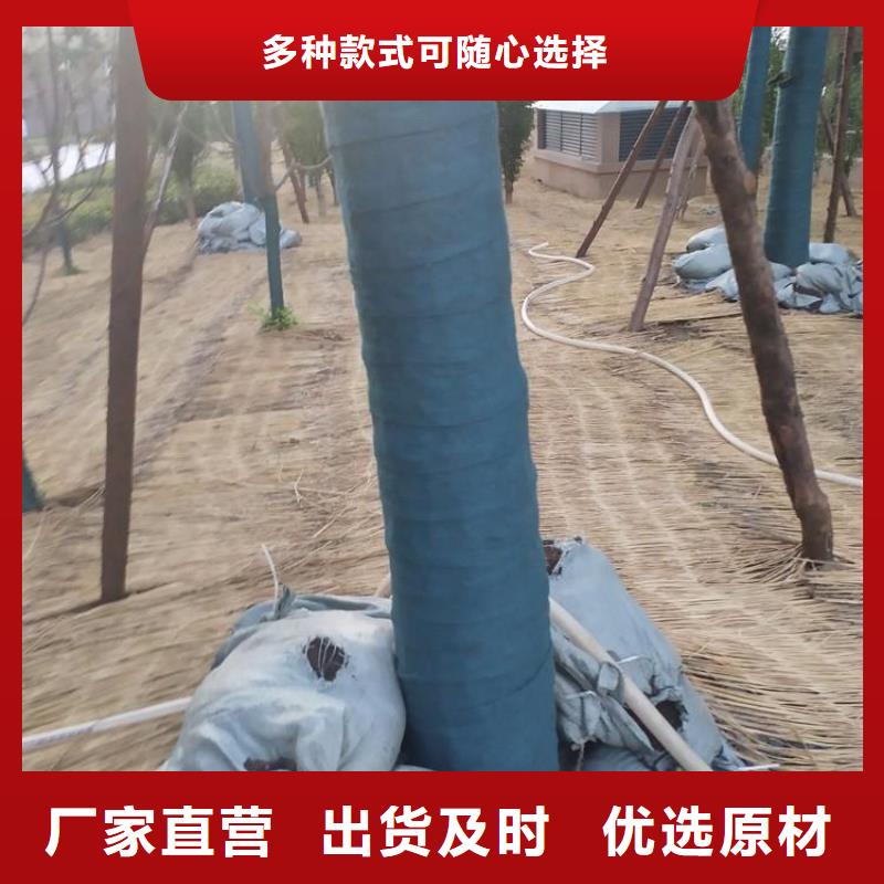 裹树布-防裂贴厂家定制
