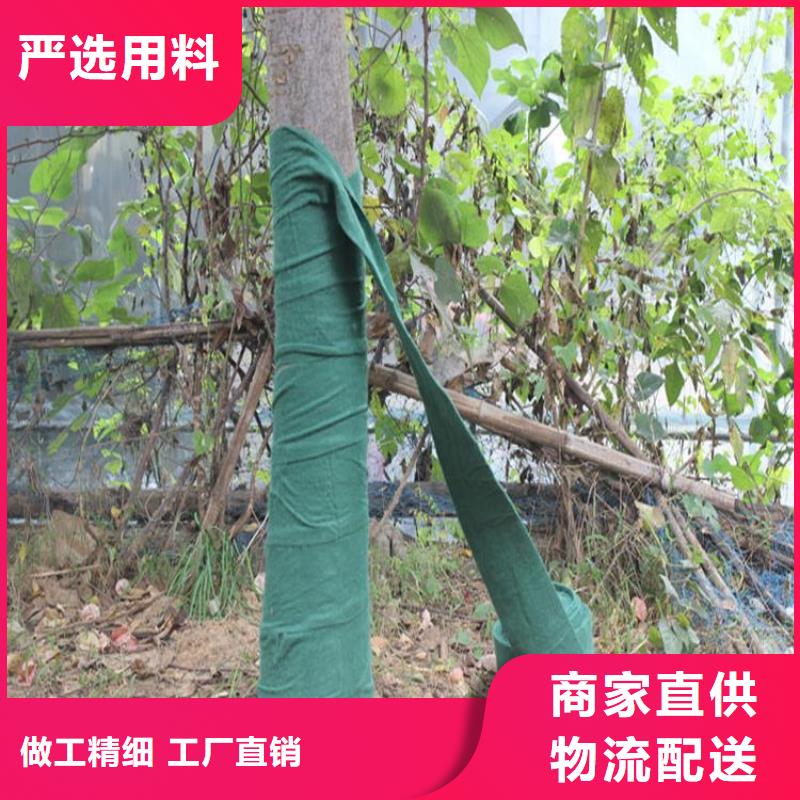 裹树布土工格栅现货直发