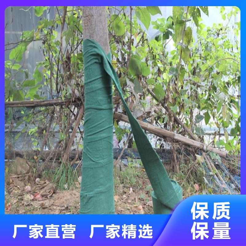裹树布防水毯细节决定成败