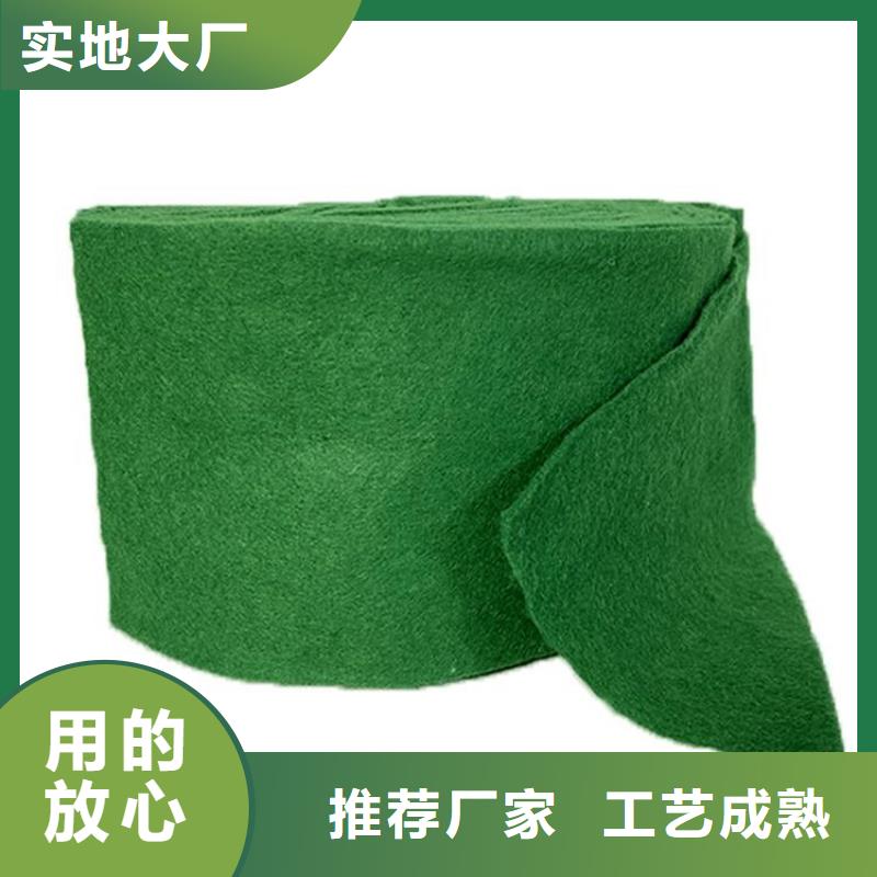 裹树布【【水泥毯】】好品质用的放心
