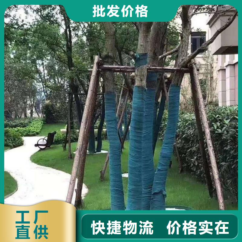 裹树布防水排水板现货直供